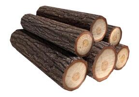 Pine Tree wood stumps on ground after being cut with real wood texture background. photo