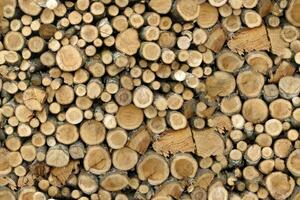Realistic wooden cubes with the texture of natural of Wood panel background. photo