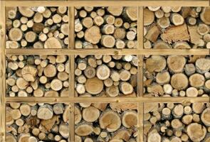 Realistic wooden cubes with the texture of natural of Wood panel background. photo