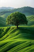 a lone tree stands in the middle of a green field photo