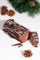 Sliced chocolate roll on white background with pine branch and fir cones photo