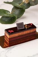 Cake slice with chocolate biscuit, mousse, raspberry confit and cocoa icing photo