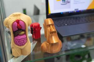 Human anatomical model made using 3D printing technology photo