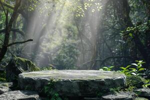 Magical forest scene with a flat stone podium, empty circular stand as the backdrop photo