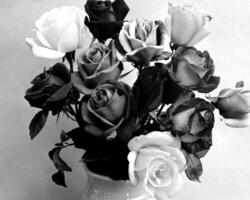 Flowers black and white photo background. Summer flowers close view