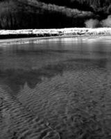 Lake a forest landscape black and white photo background, natural waterscape