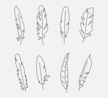 Hand drawn set of different feathers. Editable line. Graphic illustration. vector