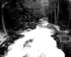 Waterfall and the mountain river background. Waterscape natural environment black and white photo background