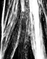 Waterfall and the mountain river background. Waterscape natural environment black and white photo background