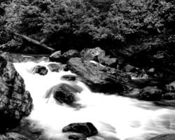 Waterfall and the mountain river background. Waterscape natural environment black and white photo background
