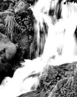 Waterfall and the mountain river background. Waterscape natural environment black and white photo background