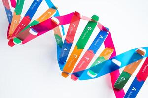 DNA or Deoxyribonucleic acid is a double helix chains structure formed by base pairs attached to a sugar phosphate backbone. photo