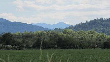 a beautiful view of a green field and mountains photo