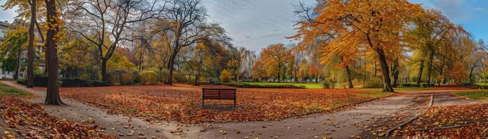 Peaceful Autumn Park with Bench and Trees photo