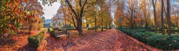 Serene Autumn Pathway in Sunlit Park photo
