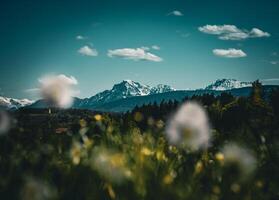 mountain view in Bavaria photo