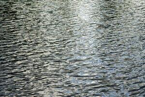 The texture of ripples on the water in a pond illuminated by the setting sun. Natural background. photo