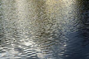 The texture of ripples on the water in a pond illuminated by the setting sun. Natural background. photo