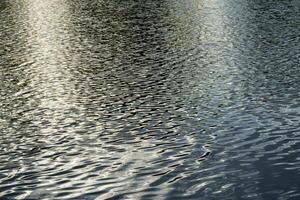 The texture of ripples on the water in a pond illuminated by the setting sun. Natural background. photo
