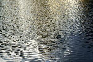The texture of ripples on the water in a pond illuminated by the setting sun. Natural background. photo