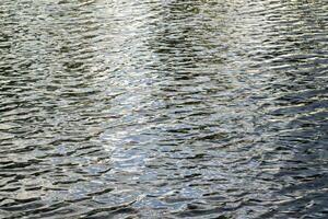 The texture of ripples on the water in a pond illuminated by the setting sun. Natural background. photo
