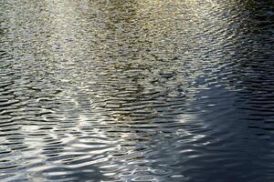 The texture of ripples on the water in a pond illuminated by the setting sun. Natural background. photo