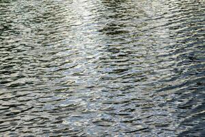 The texture of ripples on the water in a pond illuminated by the setting sun. Natural background. photo