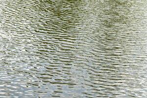 The texture of ripples on the water in a pond illuminated by the setting sun. Natural background. photo