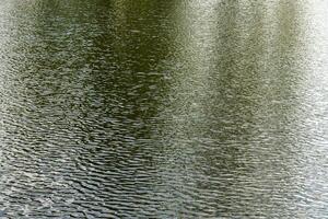 The texture of ripples on the water in a pond illuminated by the setting sun. Natural background. photo