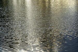 The texture of ripples on the water in a pond illuminated by the setting sun. Natural background. photo