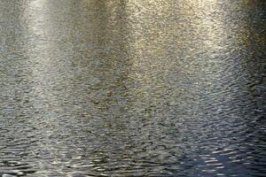 The texture of ripples on the water in a pond illuminated by the setting sun. Natural background. photo