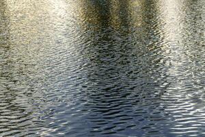 The texture of ripples on the water in a pond illuminated by the setting sun. Natural background. photo