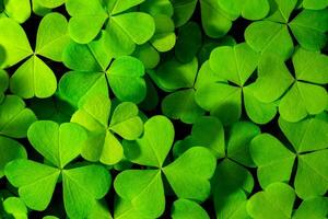 Background with green clover leaves for Saint Patrick's day. Abstract backdrop for design with a shamrock. Sping nature pattern. photo