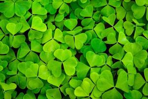 Background with green clover leaves for Saint Patrick's day. Abstract backdrop for design with a shamrock. Sping nature pattern. photo