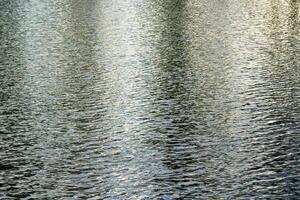The texture of ripples on the water in a pond illuminated by the setting sun. Natural background. photo