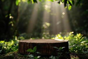 A vintage wooden podium in an oldgrowth forest with sunbeams filtering through the trees, Vintage, Warm Light photo