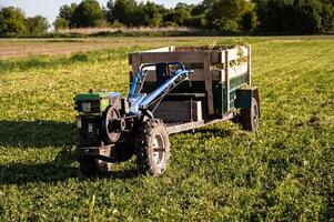 Agricultural mini-tractor with a trailer in a field on a sunny summer day. photo