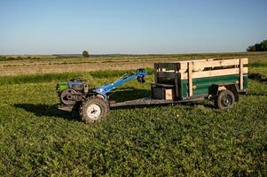 Agricultural mini-tractor with a trailer in a field on a sunny summer day. photo