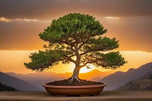 Bonsai tree in a pot on a table with mountains in the background photo