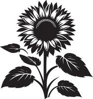 Sunflower Silhouette illustration vector