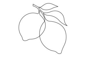 Lemon continuous one single line art drawing of organic healthy fruit concept vector