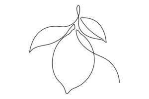 Lemon continuous one single line art drawing of organic healthy fruit concept vector
