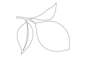Lemon continuous one single line art drawing of organic healthy fruit concept vector