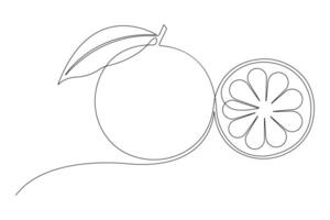 abstract continuous one single line art drawing of icon orange fruit in sketch vector