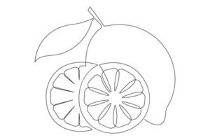 Lemon continuous one single line art drawing of organic healthy fruit concept vector