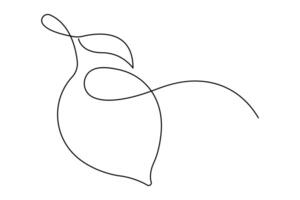 Lemon continuous one single line art drawing of organic healthy fruit concept vector