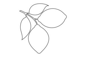Lemon continuous one single line art drawing of organic healthy fruit concept vector