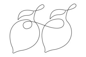 Lemon continuous one single line art drawing of organic healthy fruit concept vector