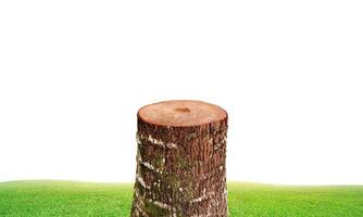 An old tree stump with a grassy field in the background. photo
