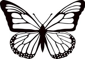 monochrome butterfly Beautiful insect with big black wings. Drawing of a flying beetle.Suitable for sandblasting, laser and plotter cutting. vector